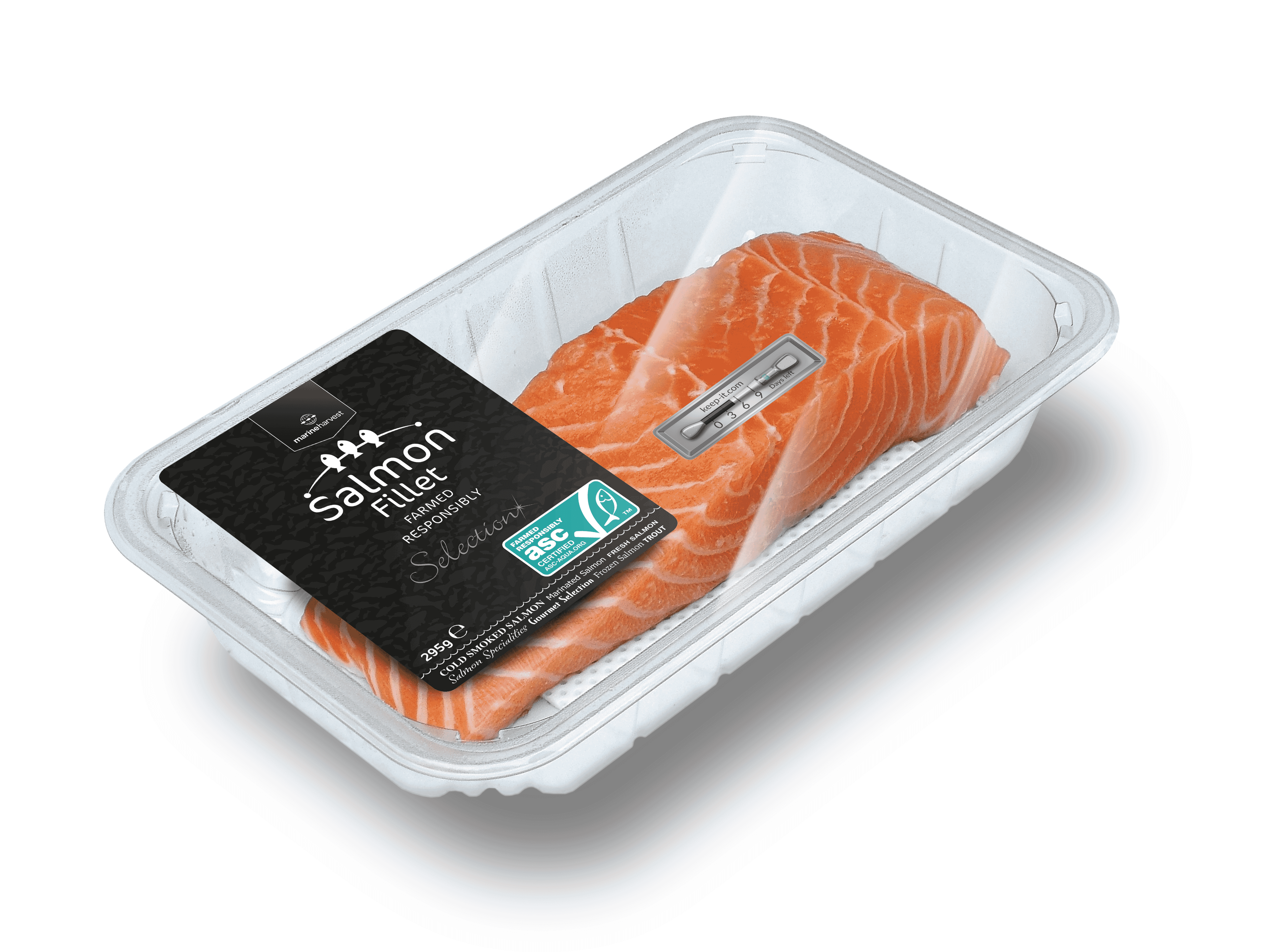 A fresh look at salmon shelf life The Fish Site